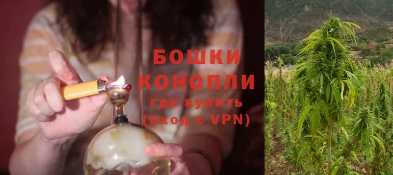 Бошки марихуана Ganja  Волхов 